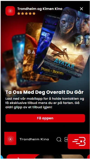 App install promotion on mobile web